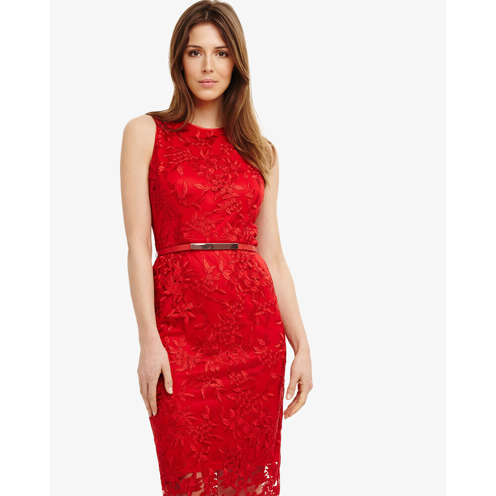 Phase Eight Alina Embroidered Dress Carmine Red (NO BELT) Size 12US $348